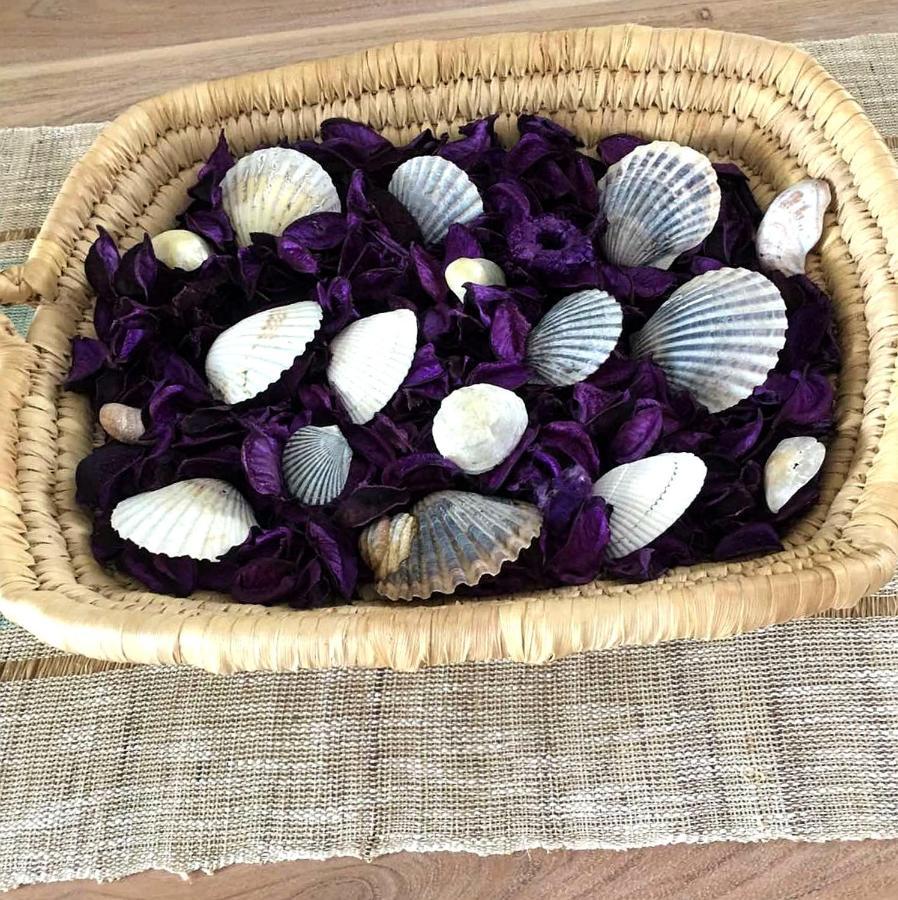 Nautilus Beach Home Platanidia 外观 照片